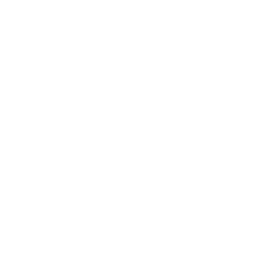 White Email logo